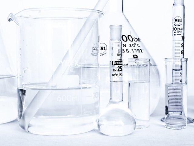 lab