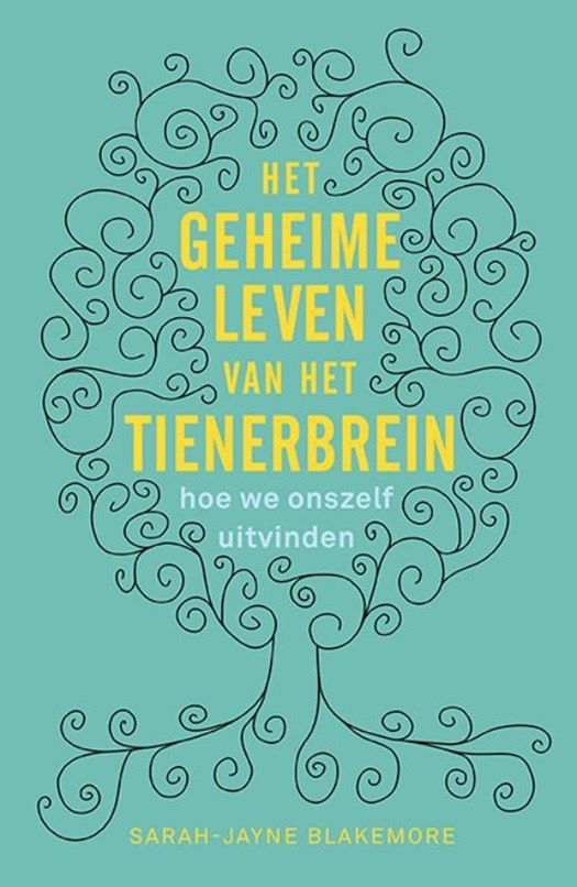 Het geheime leven van een tienerbrein